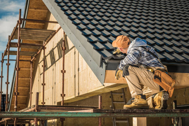 Best Gutter Installation and Roofing  in Homestead Meadows North, TX
