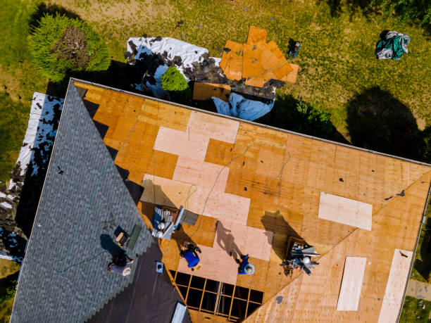 Best Roof Gutter Cleaning  in Homestead Meadows North, TX