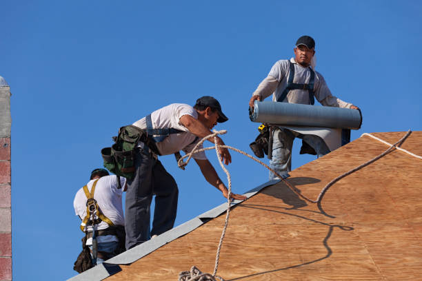Roof Repair Estimates in Homestead Meadows North, TX